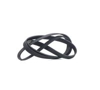 RIDEX 305P0208 Cinghia servizi