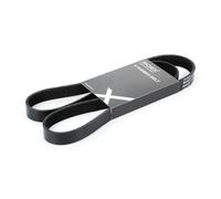 RIDEX 305P0239 Cinghia servizi