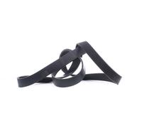 RIDEX 305P0289 Cinghia servizi per VW Golf IV Hatchback (1J1) 1270mm