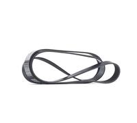 RIDEX 305P0318 Cinghia servizi per JEEP GRAND CHEROKEE II (WJ, WG)