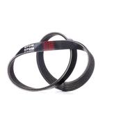 RIDEX 305P0324 Cinghia servizi