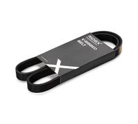RIDEX 305P0325 Cinghia servizi
