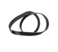 RIDEX 305P0336 Cinghia servizi