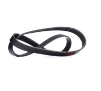 RIDEX 305P0341 Cinghia servizi