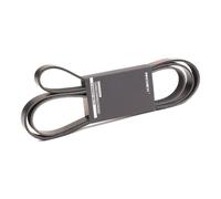 RIDEX 305P0345 Cinghia servizi per HYUNDAI H-1 Kastenwagen (A1) 2285mm