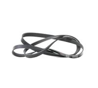 Cinghia trapezoidale multirighe 6PK2250 DAYCO per NISSAN MERCEDES-BENZ