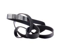 RIDEX 305P0385 Cinghia servizi