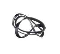 RIDEX 305P0394 Cinghia servizi per OPEL Corsa E Hatchback (X15) 1650mm