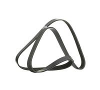 RIDEX 305P0492 Cinghia servizi