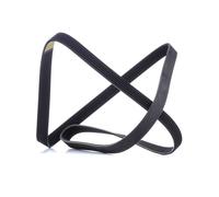 RIDEX 305P0508 Cinghia servizi per BMW 3 Limousine (E90) 3 Touring (E91) 1780mm