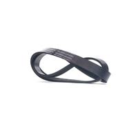 RIDEX 305P0549 Cinghia servizi