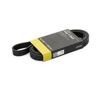 RIDEX 305P0624 Cinghia servizi adatto per MERCEDES-BENZ 190 (W201) 2175mm