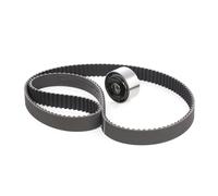 RIDEX 307T0105 Kit cinghia di distribuzione per VW Golf IV Hatchback (1J1)