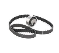 RIDEX 307T0143 Kit cinghia di distribuzione