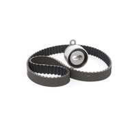 RIDEX 307T0204 Kit cinghia di distribuzione per AUDI A3 Sportback (8VA, 8VF)