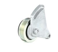 Ina 531030910 Tensionatori