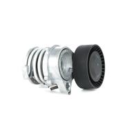 RIDEX 310T0071 Rullo tenditore cinghia Poly-V per BMW 3 Sedan (E46) 5 Sedan X3
