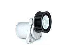 RIDEX Rullo Tendicinghia 310T0241 Puleggia Tendicinghia,Rullo tenditore, Cinghia Poly-V FORD,MAZDA,Fiesta Mk5 Hatchback (JH1, JD1, JH3, JD3),MAVERICK