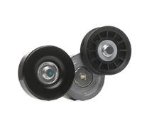 RIDEX 310T0458 Rullo tenditore cinghia Poly-V Rullo tendicinghia Puleggia tendicinghia Rullo tenditore cinghia