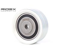 RIDEX 313D0066 Galoppino / Guidacinghia, Cinghia dentata