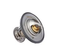RIDEX 316T0021 Termostato motore