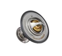 RIDEX 316T0070 Termostato motore
