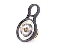 RIDEX 316T0075 Termostato motore