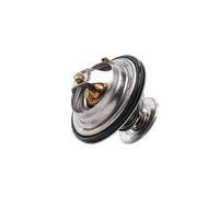 RIDEX 316T0105 Termostato motore