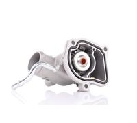 RIDEX 316T0114 Termostato motore adatto per MERCEDES-BENZ M-Klasse (W163) 87°C