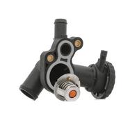 RIDEX 316T0293 Termostato motore per MINI Hatchback (R50, R53) Cabrio (R52) 91°C