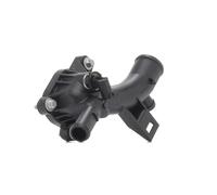 RIDEX 316T0317 Termostato motore