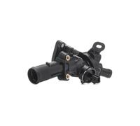 RIDEX 316T0597 Termostato motore