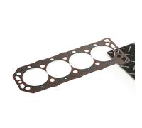 RIDEX 318G0365 Guarnizione testata per LAND ROVER Freelander SUV (L314)