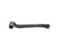 RIDEX 3314C0264 Flessibile aria alimentazione per RENAULT SCÉNIC II (JM0/1)