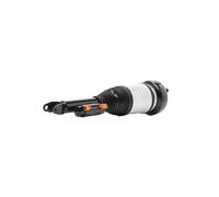 RIDEX 4118A0131 Ammortizzatore pneumatico