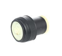 RIDEX 4119A0006 Molla pneumatica per BMW X5 (E70) Posteriore