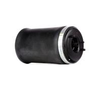 RIDEX 4119A0009 Molla pneumatica per BMW X5 (E53) Posteriore Sx