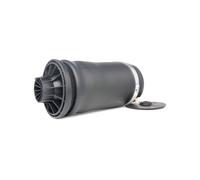 RIDEX 4119A0014 Molla pneumatica adatto per MERCEDES-BENZ Classe M (W164)