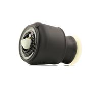 RIDEX 4119A0018 Molla pneumatica per BMW 5 Touring (F11) 5 GT (F07) Posteriore