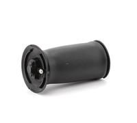 RIDEX 4119A0028 Molla pneumatica per BMW 5 Touring (E61) Posteriore Dx