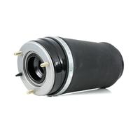RIDEX 4119A0037 Molla pneumatica per LAND ROVER Range Rover III (L322) Anteriore