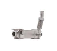 RIDEX 4198E0023 Modulo EGR