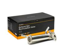 RIDEX 4198E0032 Modulo EGR