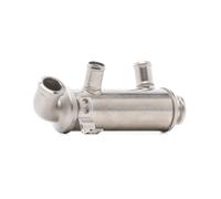 RIDEX 4198E0036 Modulo EGR