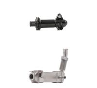 RIDEX 4198E0206 Modulo EGR