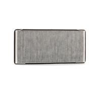 RIDEX 424I0193 Filtro abitacolo per BMW X5 (E53) Filtro al carbone attivo Filtro