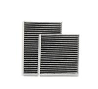 RIDEX 424I0197 Filtro abitacolo adatto per PEUGEOT 207 (WA, WC) 207 SW (WK)