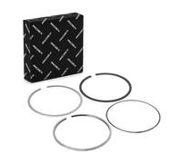 RIDEX 444P0029 Kit fasce elastiche