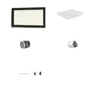 RIDEX 4682P0248 Kit tagliando