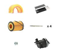 RIDEX 4682P24301 Kit tagliando